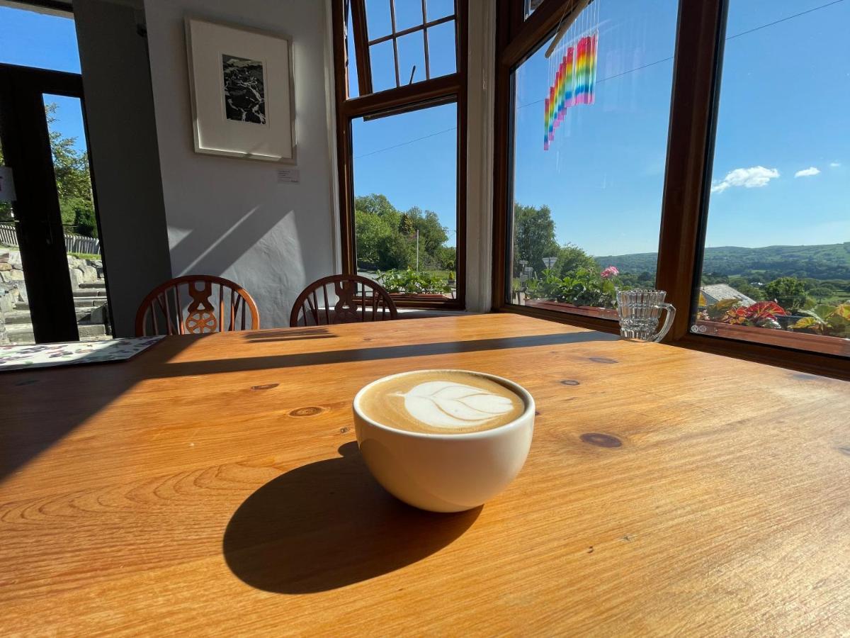 Y Llew Coch Bed & Breakfast Conwy Ngoại thất bức ảnh